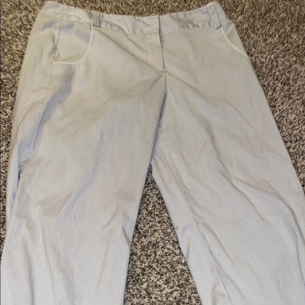sharagano slacks